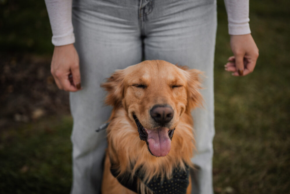Engagement photoshoot with family dog