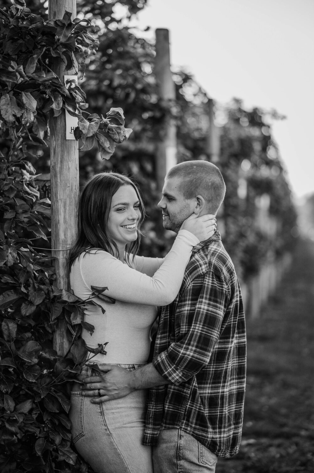 orchard engagement photography