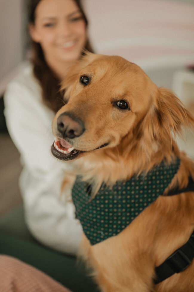 tapestry hall wedding photography