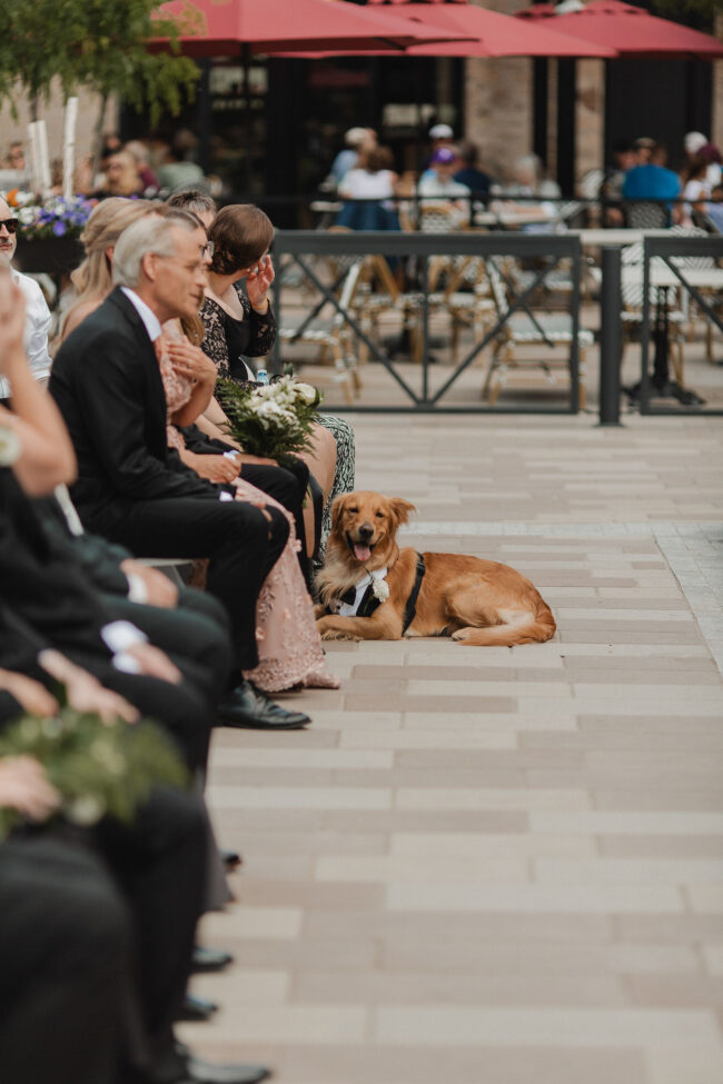 tapestry hall outdoor wedding ceremony