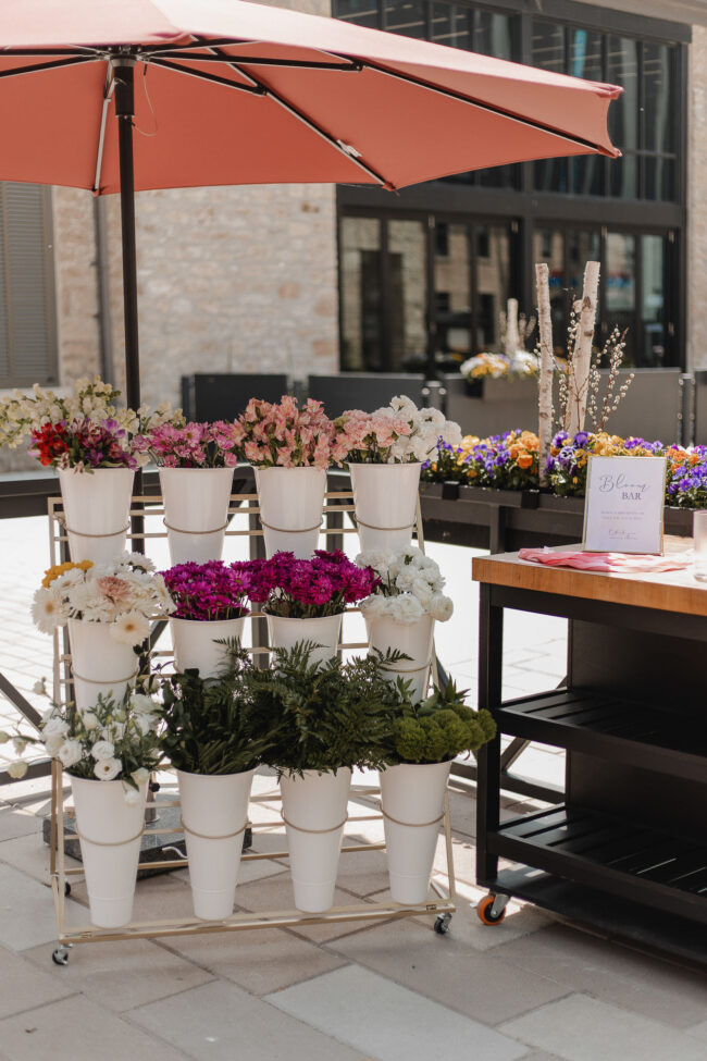 tapestry hall cocktail hour