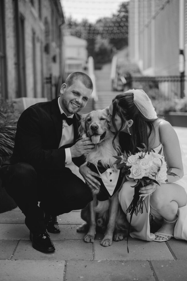 Wedding photos with dog