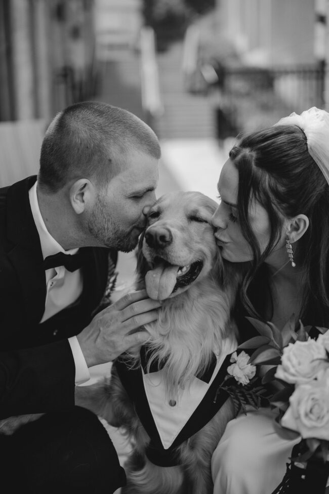 Guelph wedding photographer