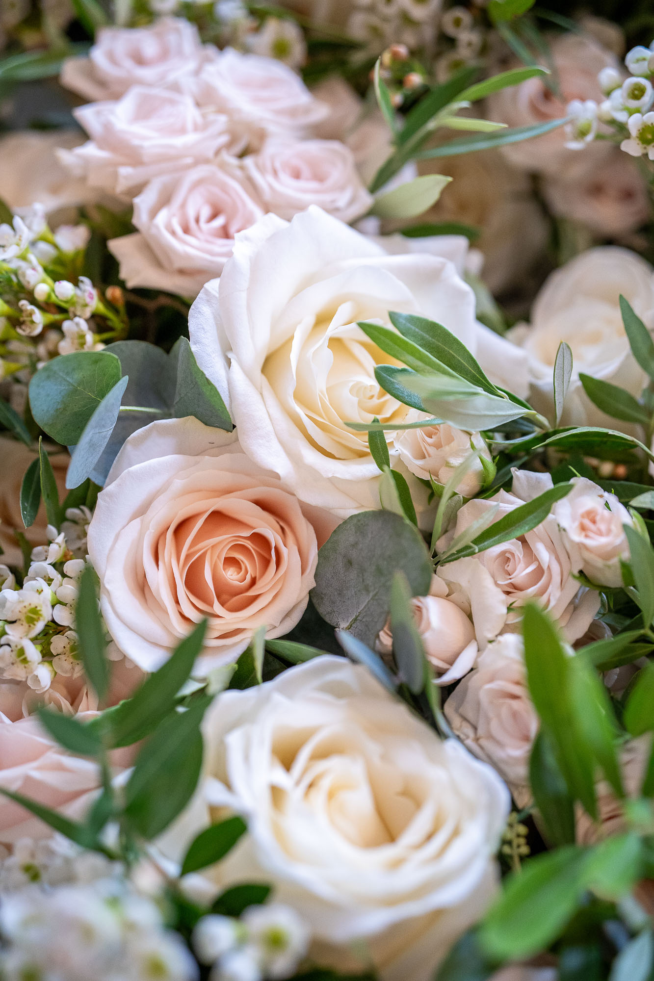 affordable guelph wedding photographer