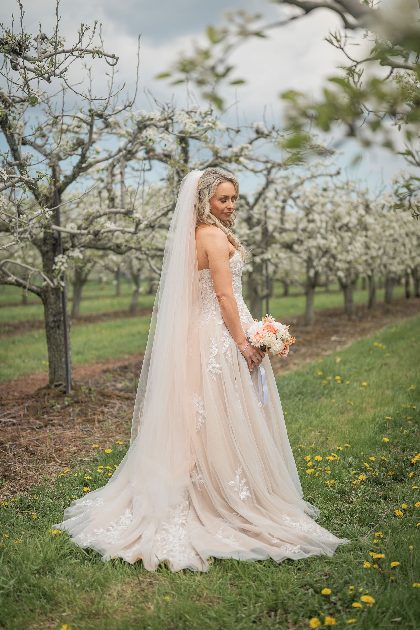 Honsberger Estate Winery Wedding Photography