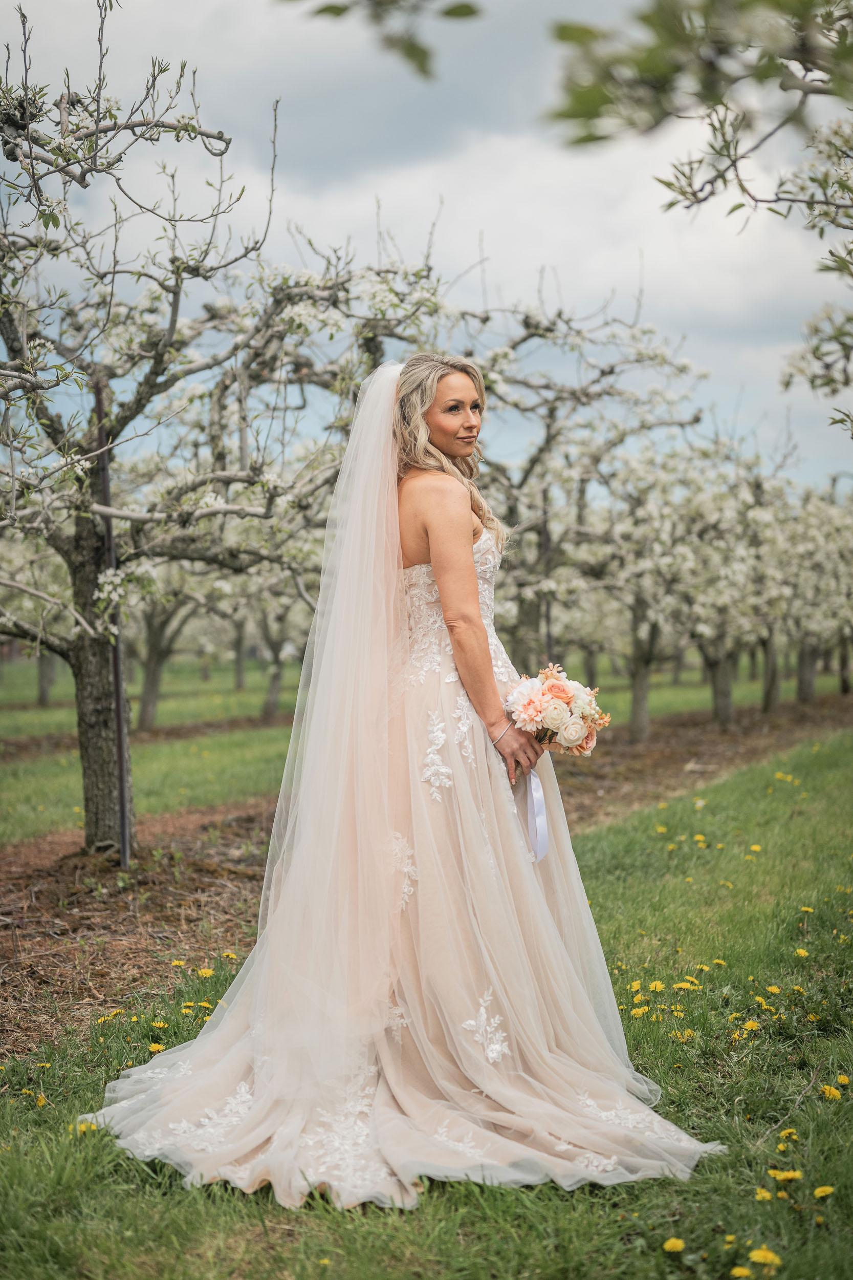 Honsberger Estate Winery Wedding Photography