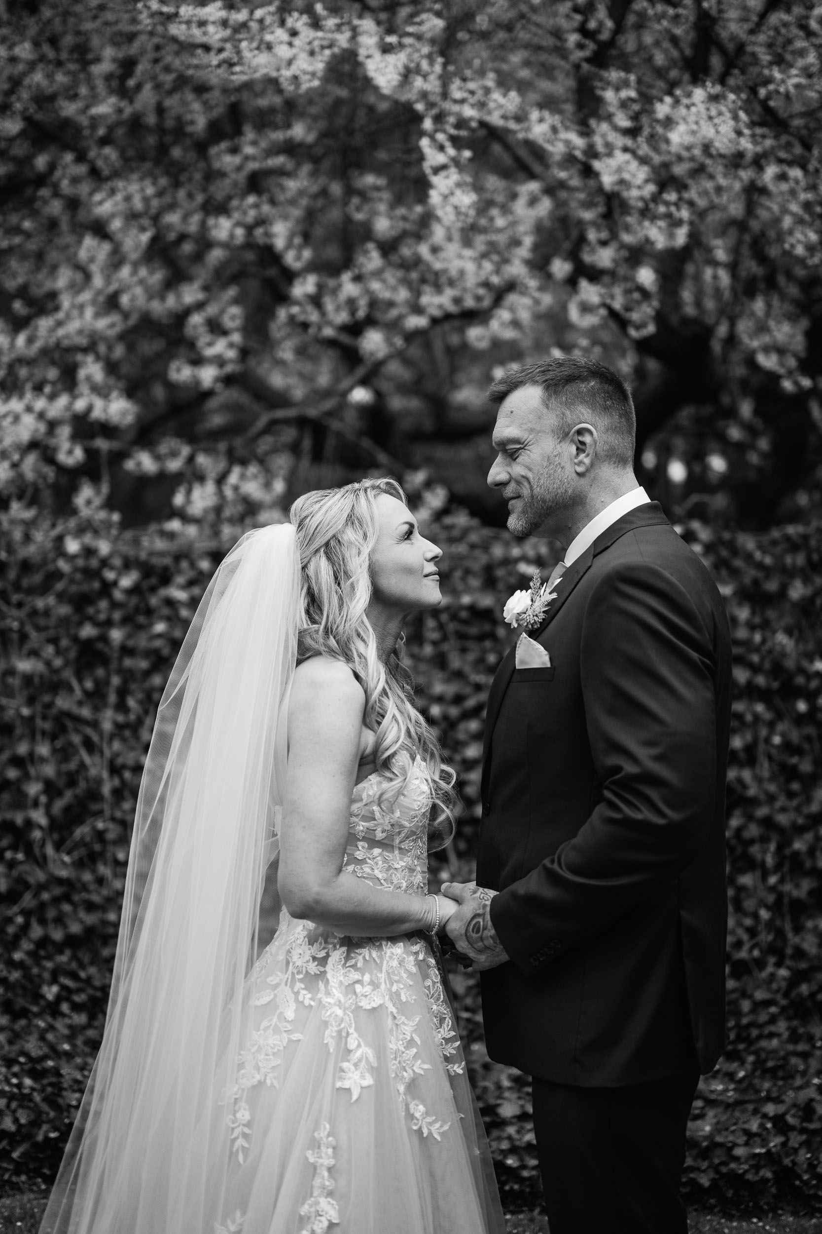 ontario wine country wedding photographer
